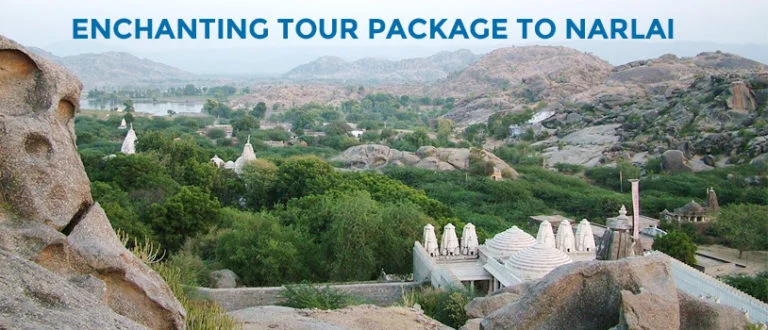 Enchanting Tour Package to Narlai